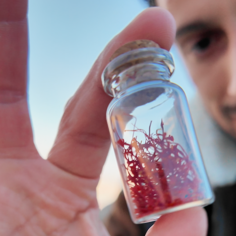 Gusti d'Abruzzo Xmas Cofanetto legno